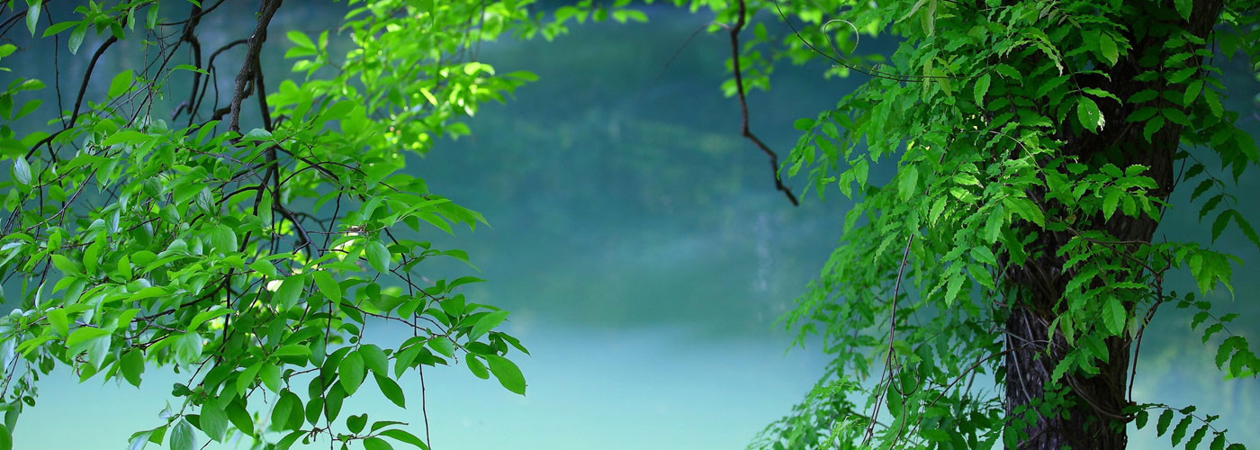 Menor coste fiscal, dentro de la legalidad