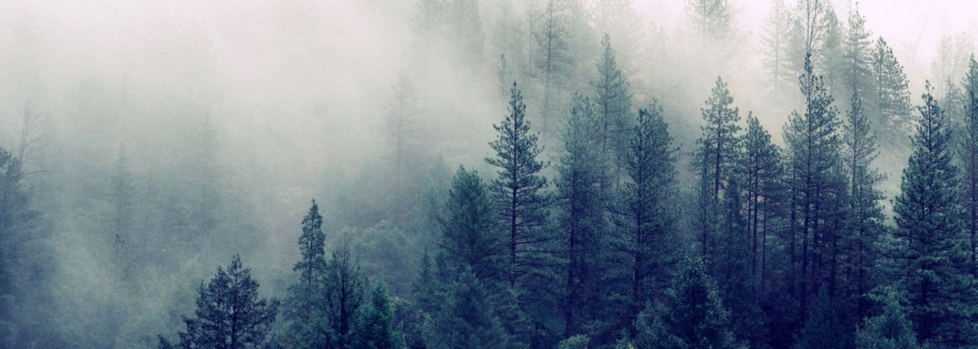 Despacho de Abogados multidisciplinar