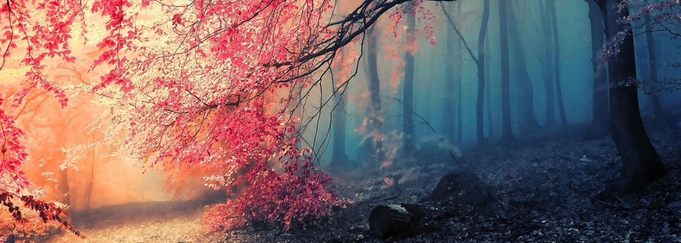 Estrategias con el menor coste fiscal, dentro de la legalidad